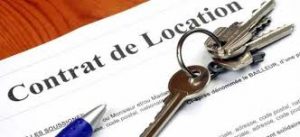 la location nue à usage d’habitation principale
